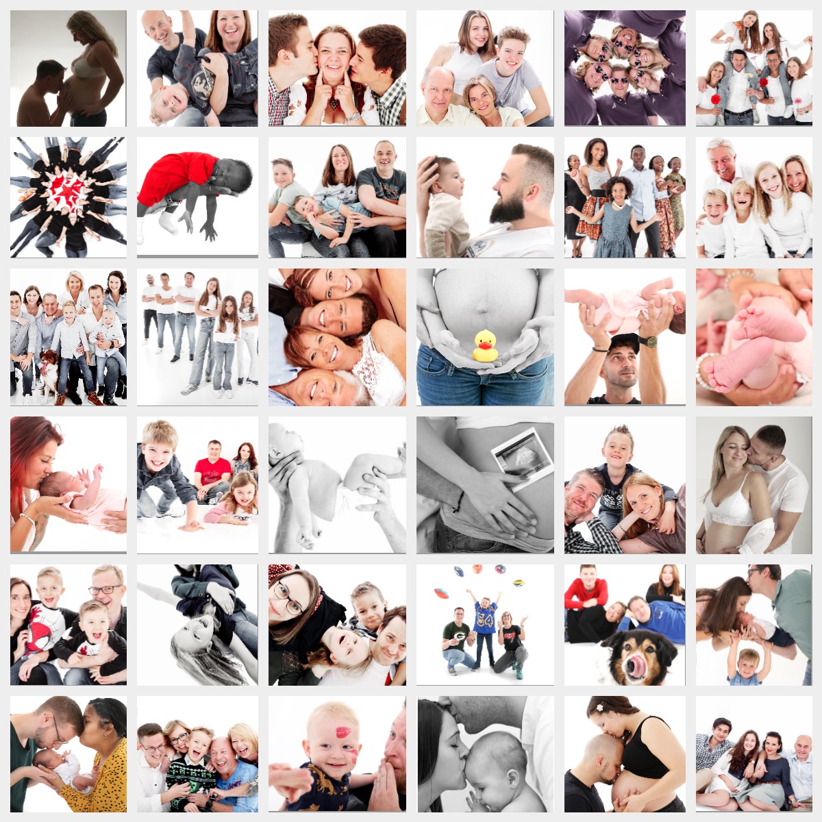 Comprehensive family portrait showcase including family, newborn, maternity and lifestyle sessions