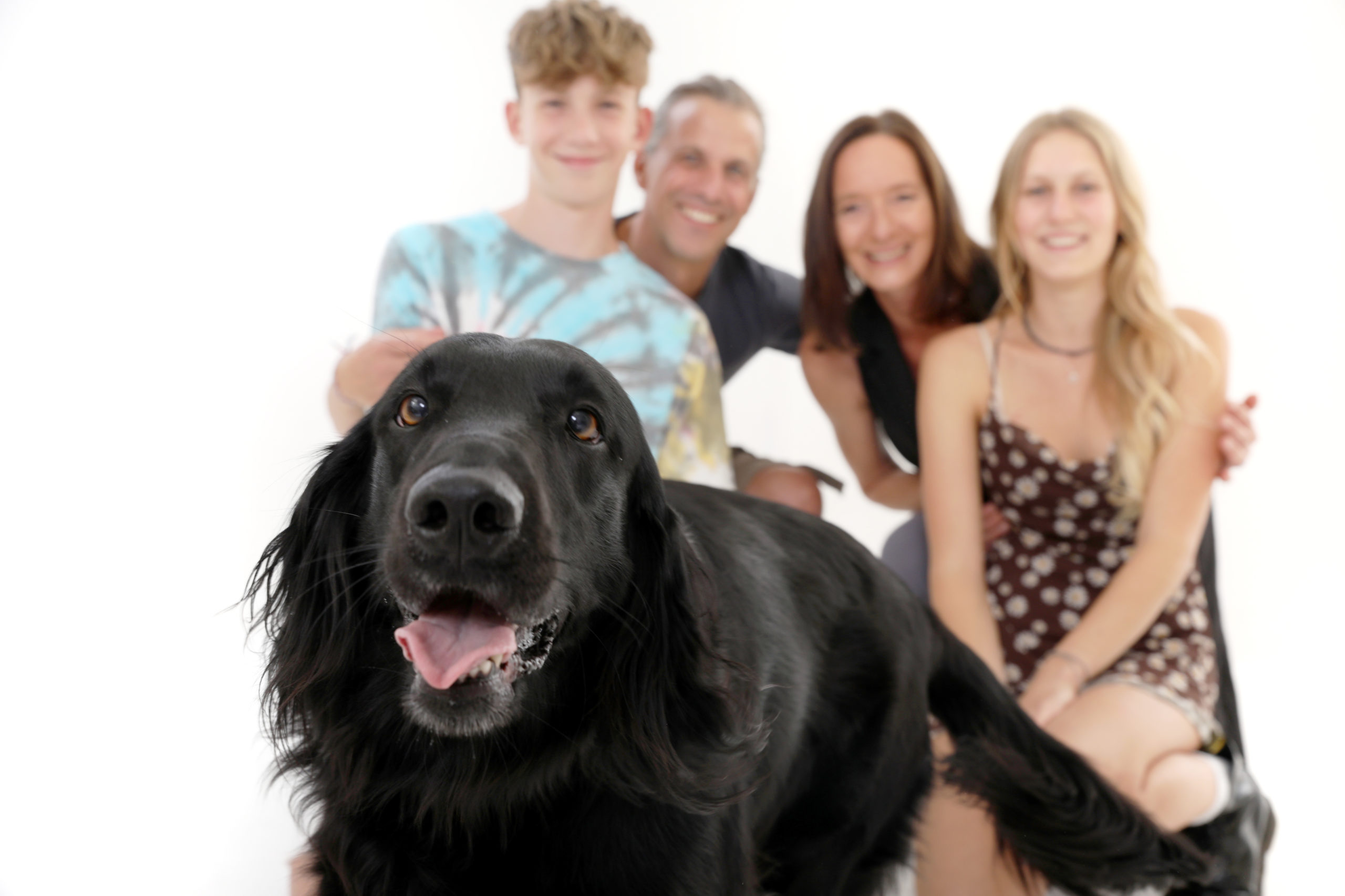 Familienfotos mit Hund in Wien