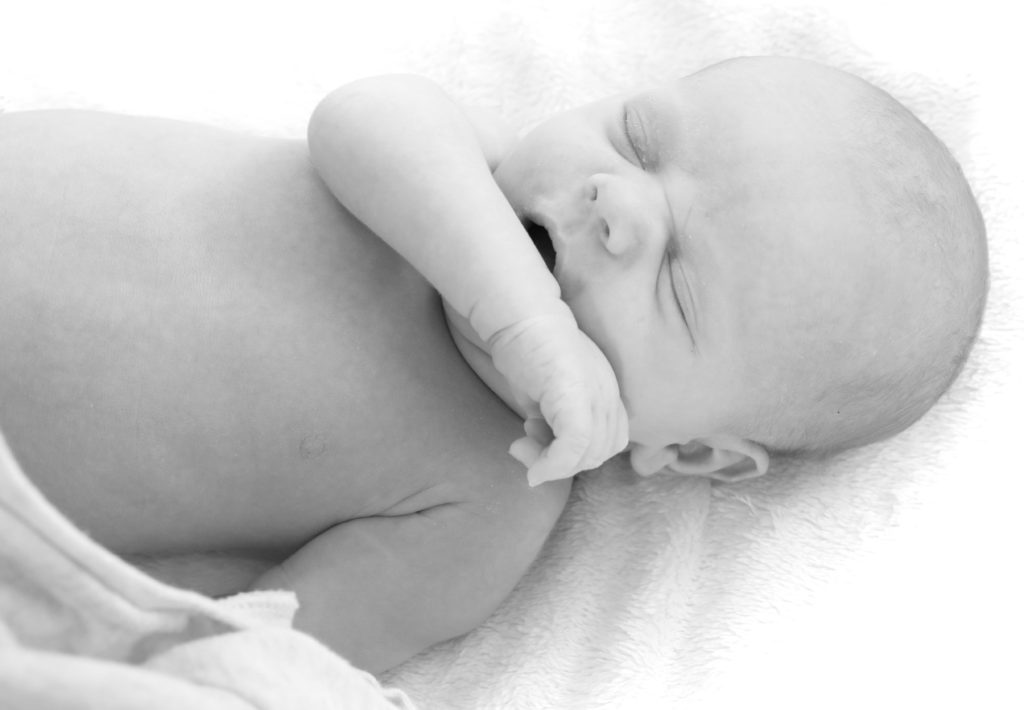 Kleines Familienglück: Neugeborenen-Fotoshooting in Wien