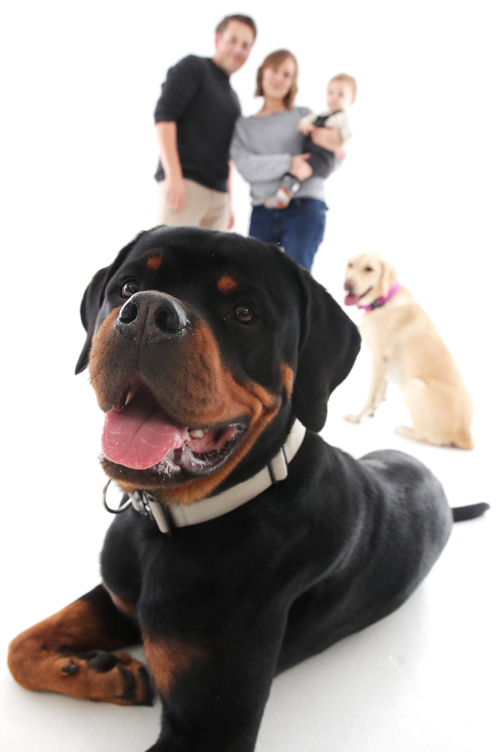 Familien Fotoshooting mit Hund in Wien