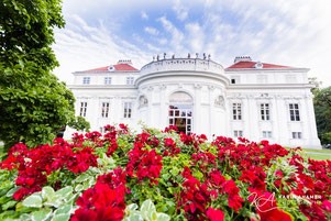 Palais Schönburg Eine Königliche Hochzeitskulisse In Wien